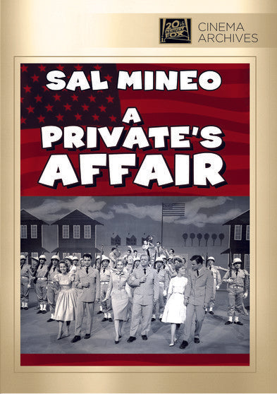 A Private's Affair (DVD)