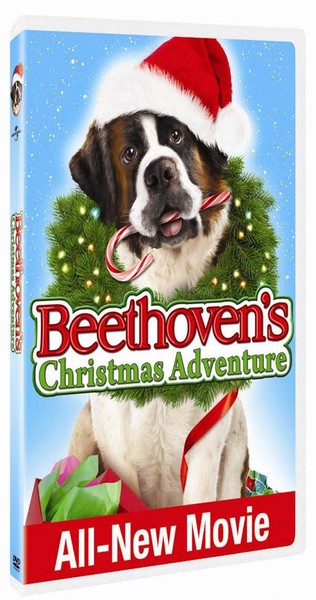 Beethoven's Christmas Adventure (DVD)