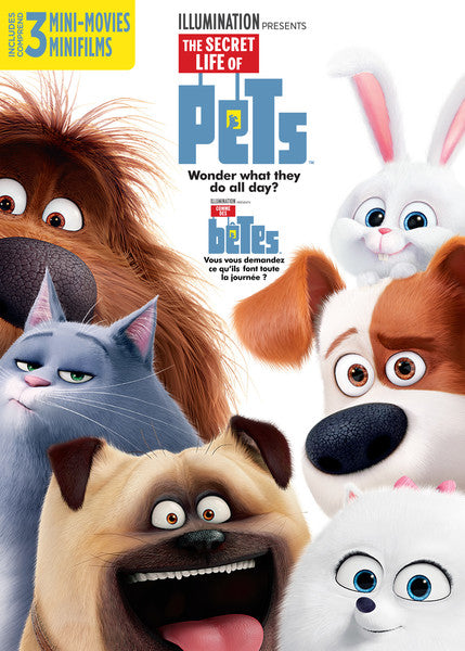 The Secret Life of Pets (DVD)
