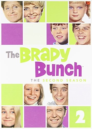 Brady Bunch: Season 2 (DVD)