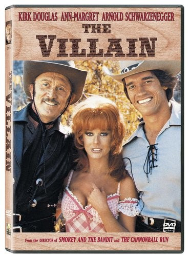The Villain (DVD)