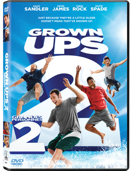 Grown Ups 2 (DVD)
