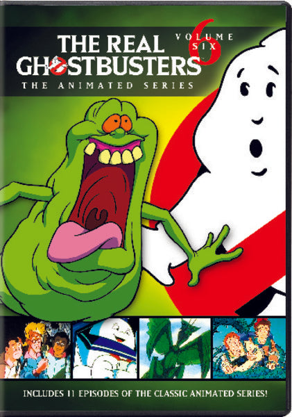 The Real Ghostbusters: Vol. 6 (DVD)