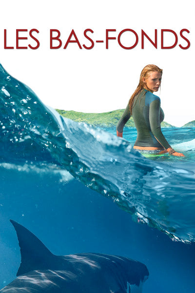 The Shallows (DVD)