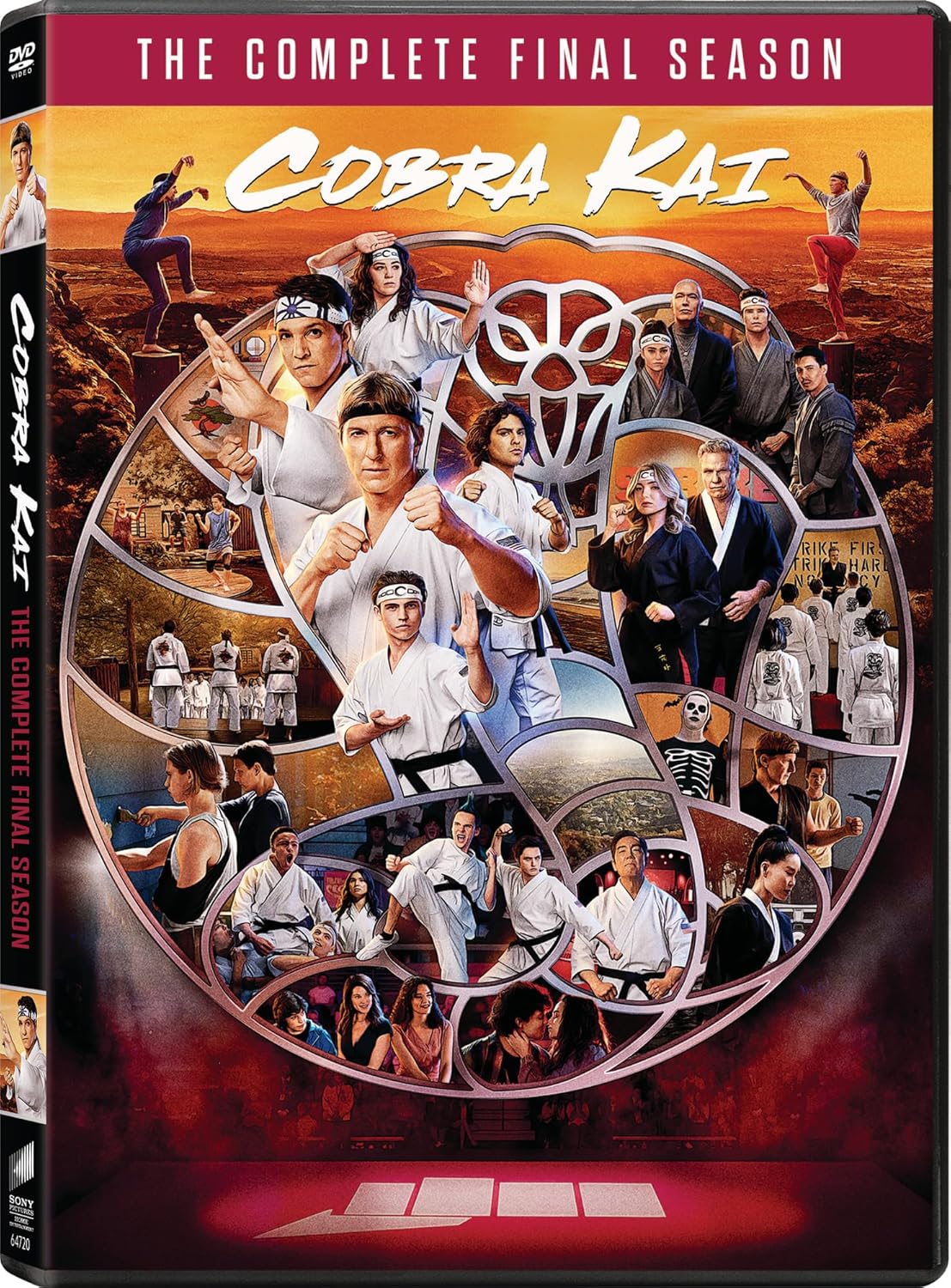 Cobra Kai: Season 6 (DVD)