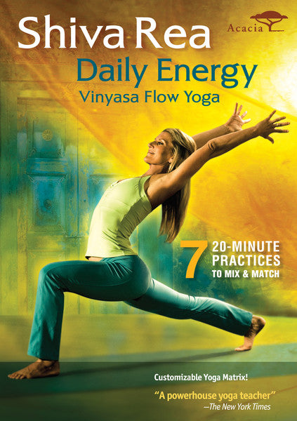 Daily Energy Flow (DVD)