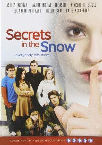 Secrets in the Snow (DVD)