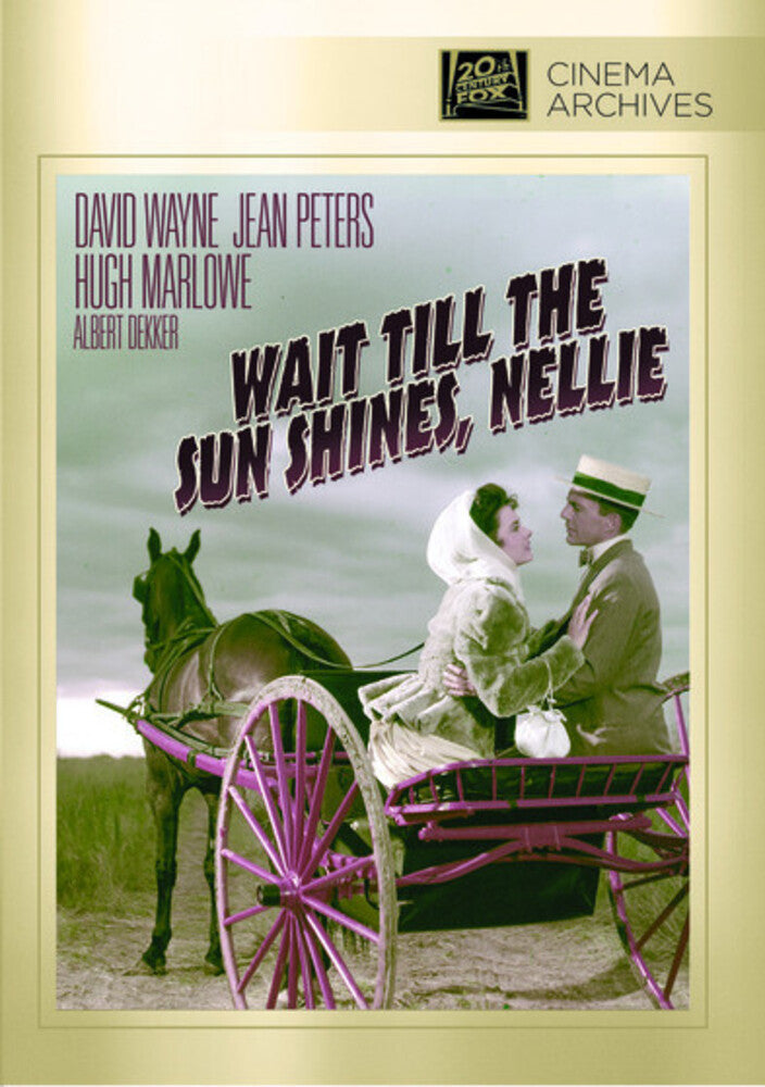 Wait 'Till the Sun Shines, Nellie (DVD)