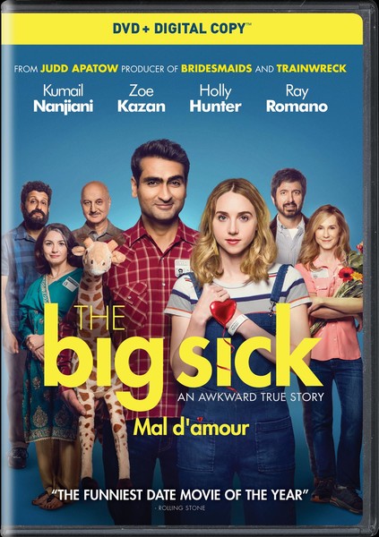 The Big Sick (DVD)