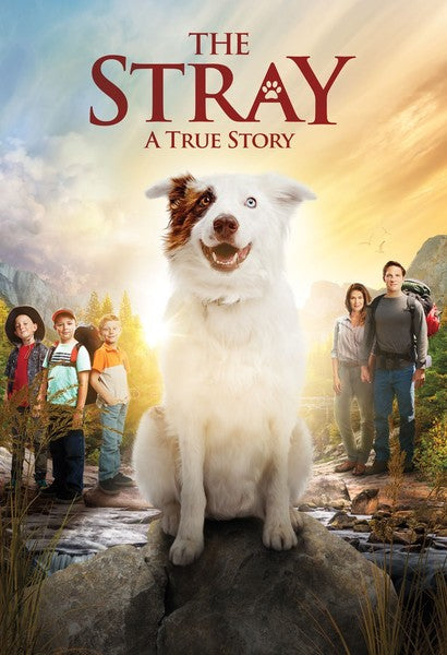 The Stray (DVD)
