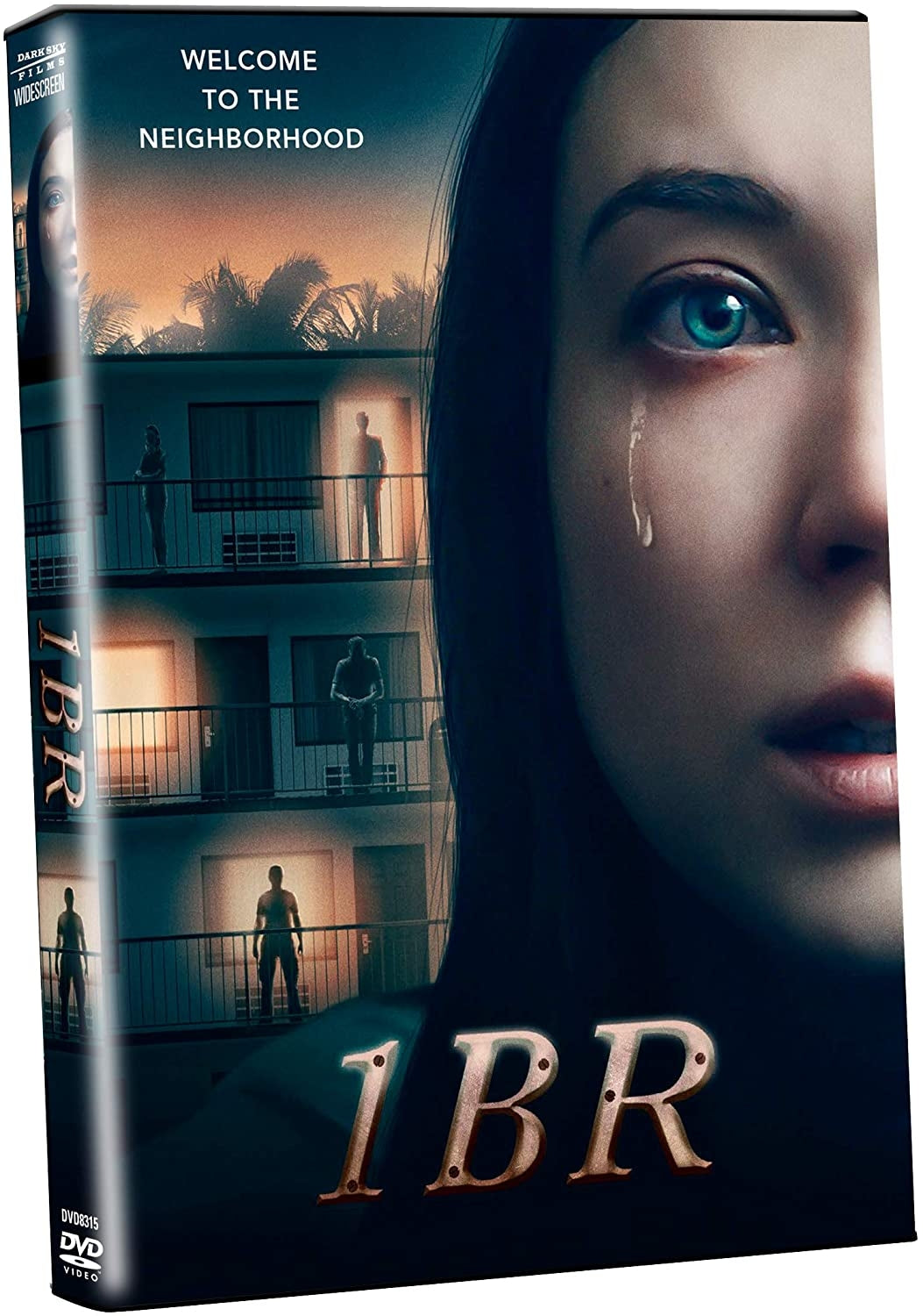 1 Br (DVD)