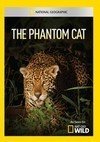 The Phantom Cat (DVD)