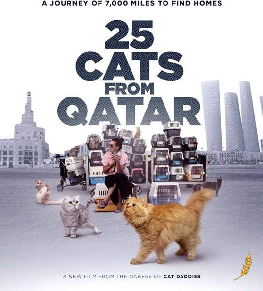 25 Cats from Qatar (Blu-ray)