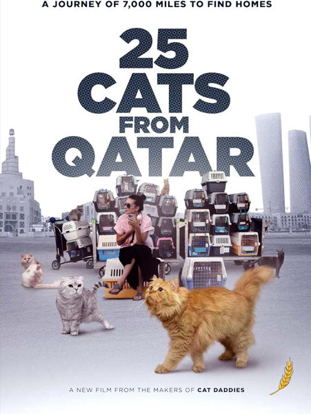 25 Cats from Qatar (DVD)
