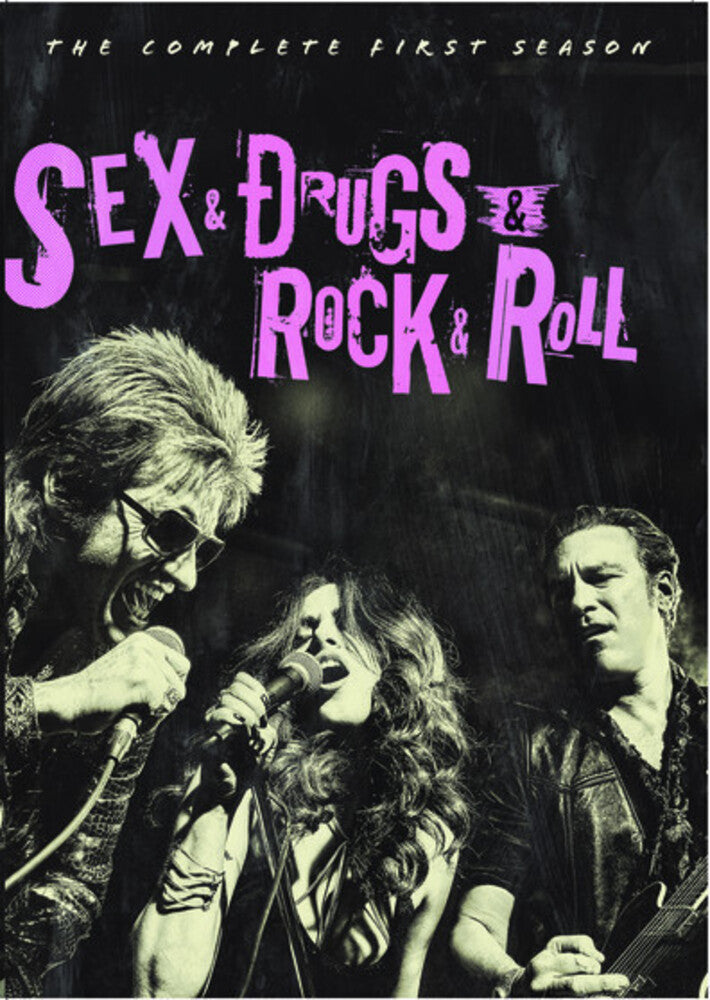 Sex & Drugs & Rock & Roll: Season 1 (DVD)