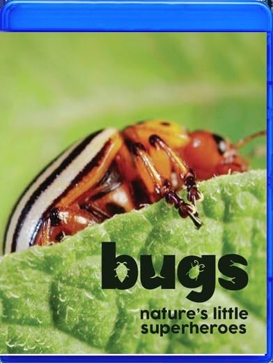 Bugs: Nature's Little Superheroes (Blu-ray)