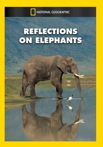 Reflections on Elephants (DVD)