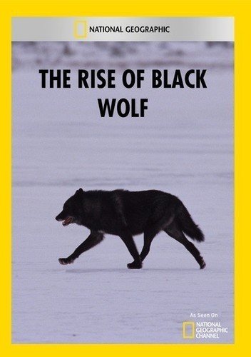 The Rise of Black Wolf (DVD)