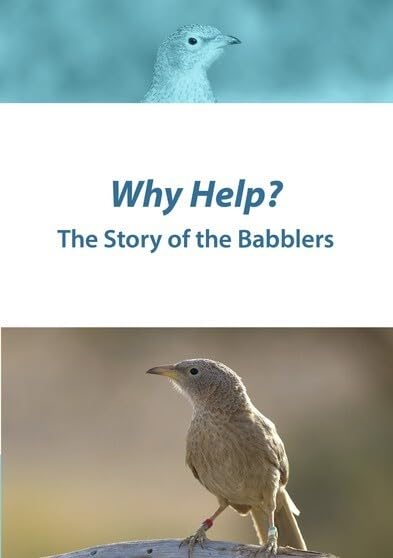 Why Help: Story of Babblers (DVD)
