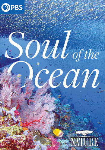 Nature: Soul Of The Ocean (DVD)