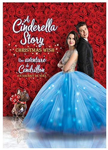 A Cinderella Story: Christmas Wish (DVD)