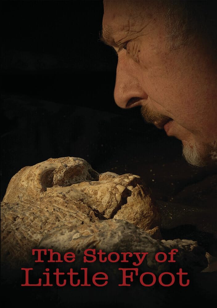 The Story of Little Foot (DVD)