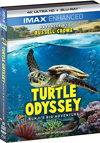 Turtle Odyssey (4K Ultra HD)