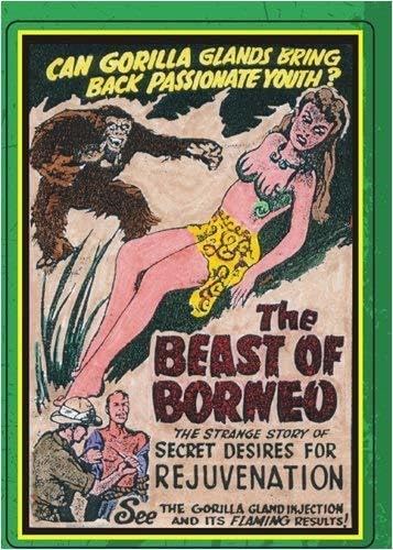 Beast of Borneo (DVD)