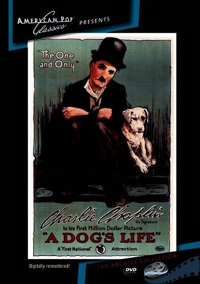 A Dog's Life (DVD)