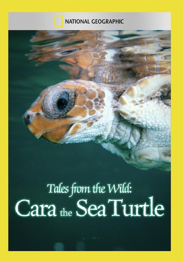 Tales from the Wild: Cara the Sea Turtle (DVD)