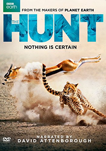 Hunt, the (BBC Earth) (DVD)