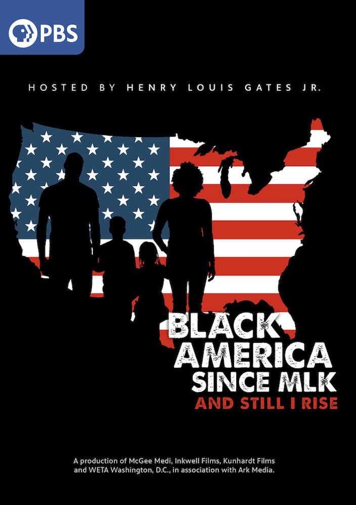 Black America Since MLK: And Still I Rise (DVD)
