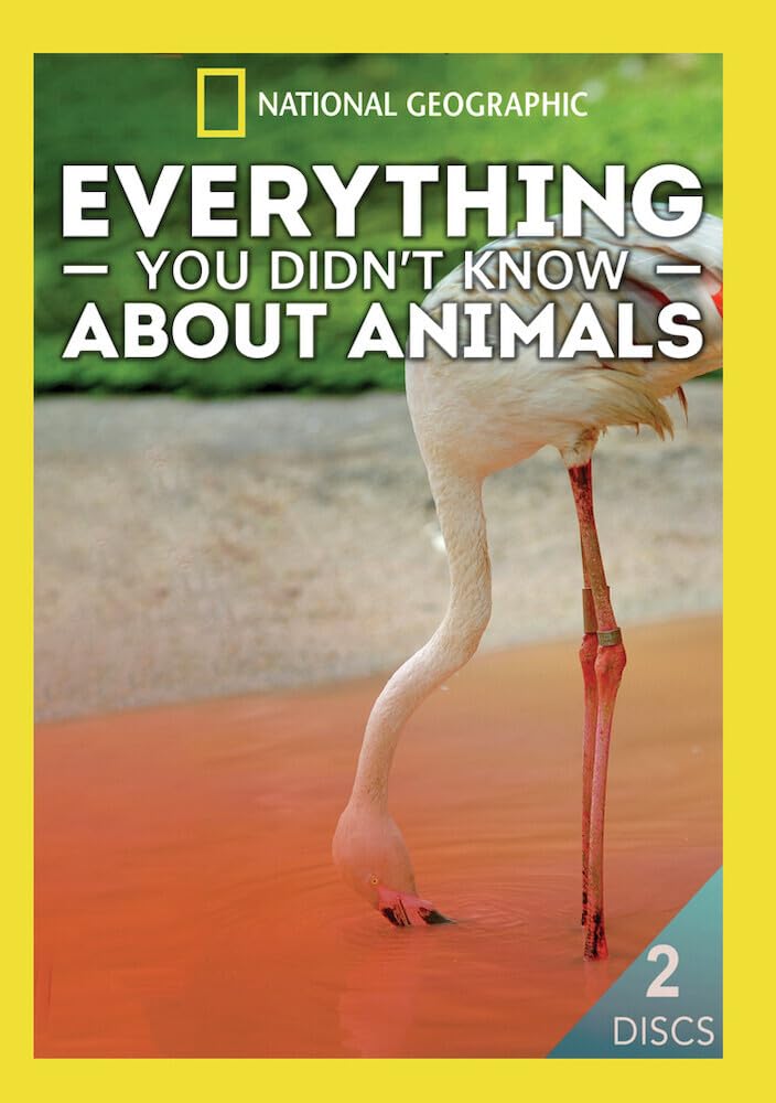 Everything You Didn't Know About Animals (DVD)