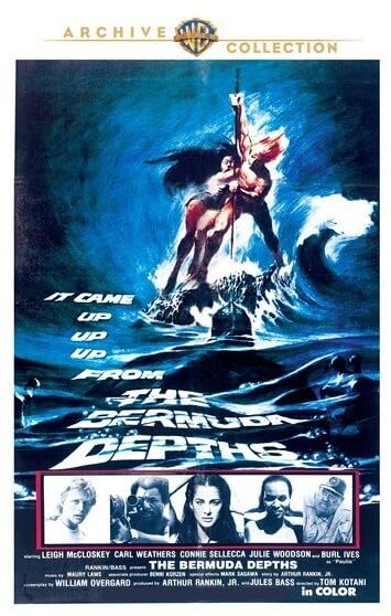 Bermuda Depths (DVD)