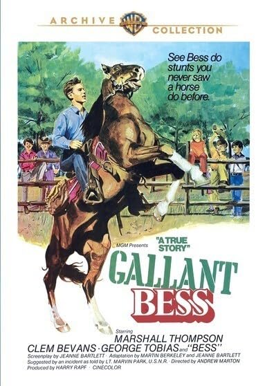 Gallant Bess (DVD)