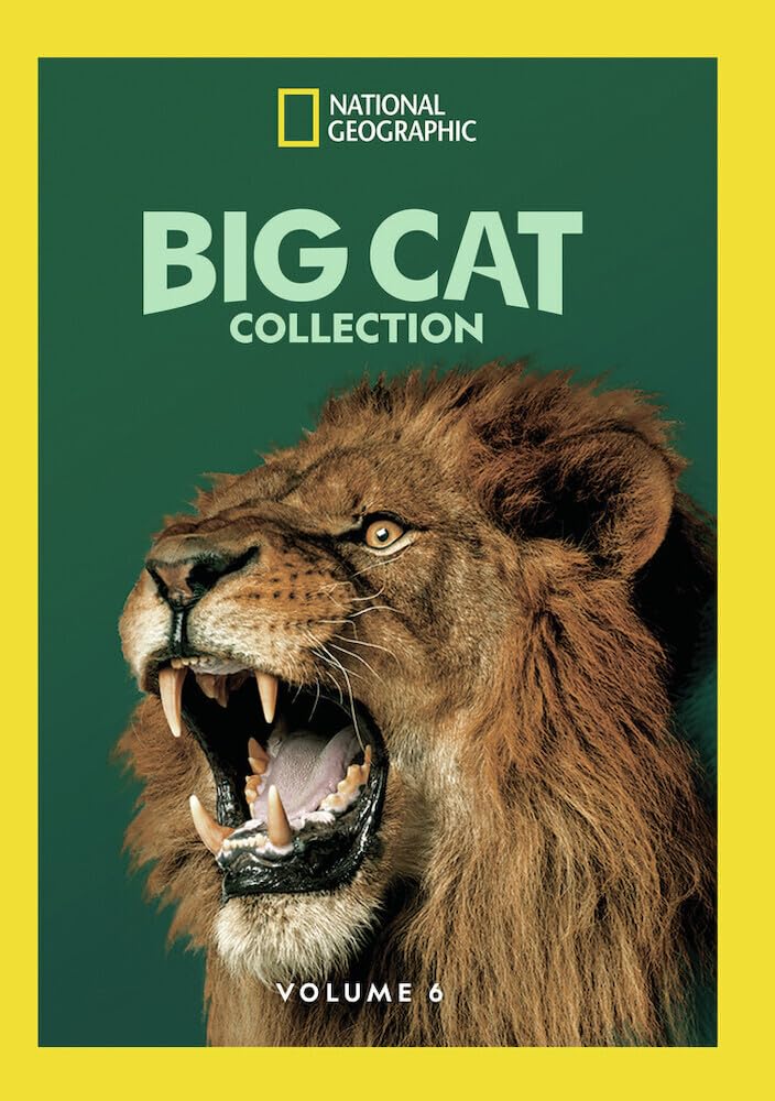 Big Cat Collection: Vol 6 (DVD)