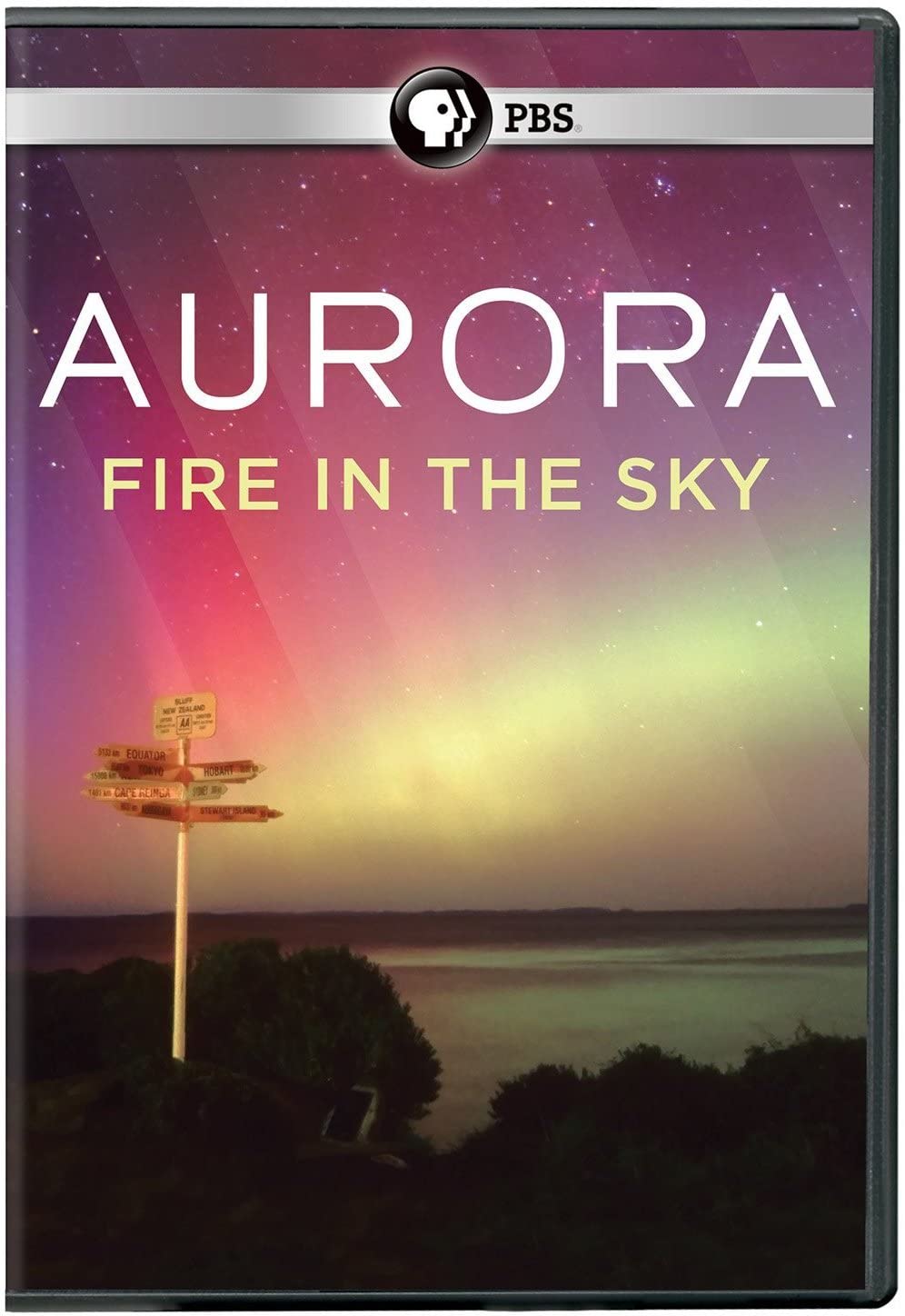 Aurora: Fire in the Sky (DVD)