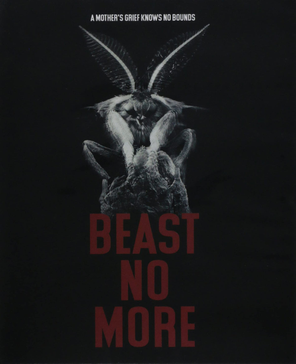 Beast No More (DVD)