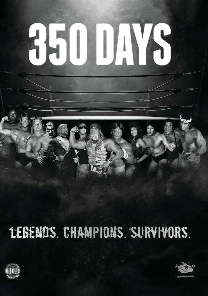 350 Days (DVD)