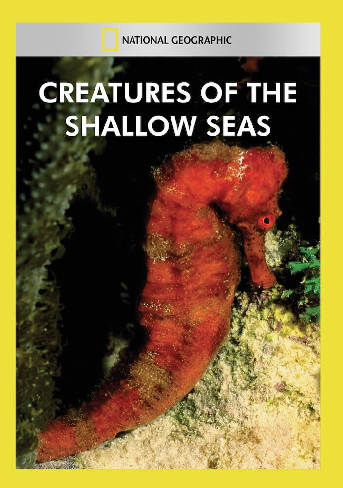 Creatures of the Shallow Seas (DVD)