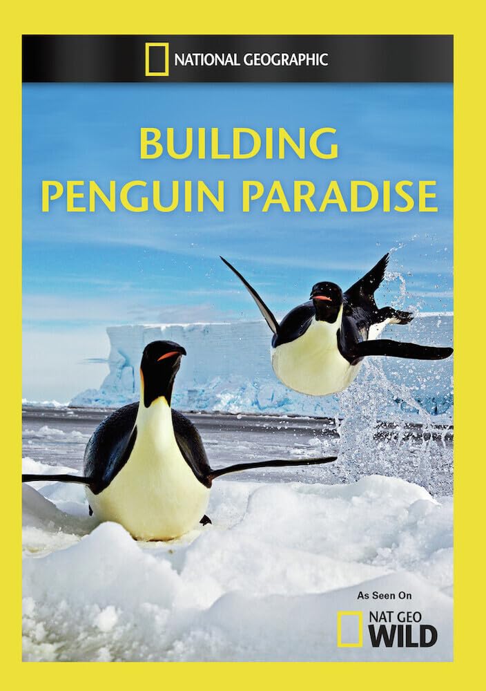 Building Penguin Paradise (DVD)