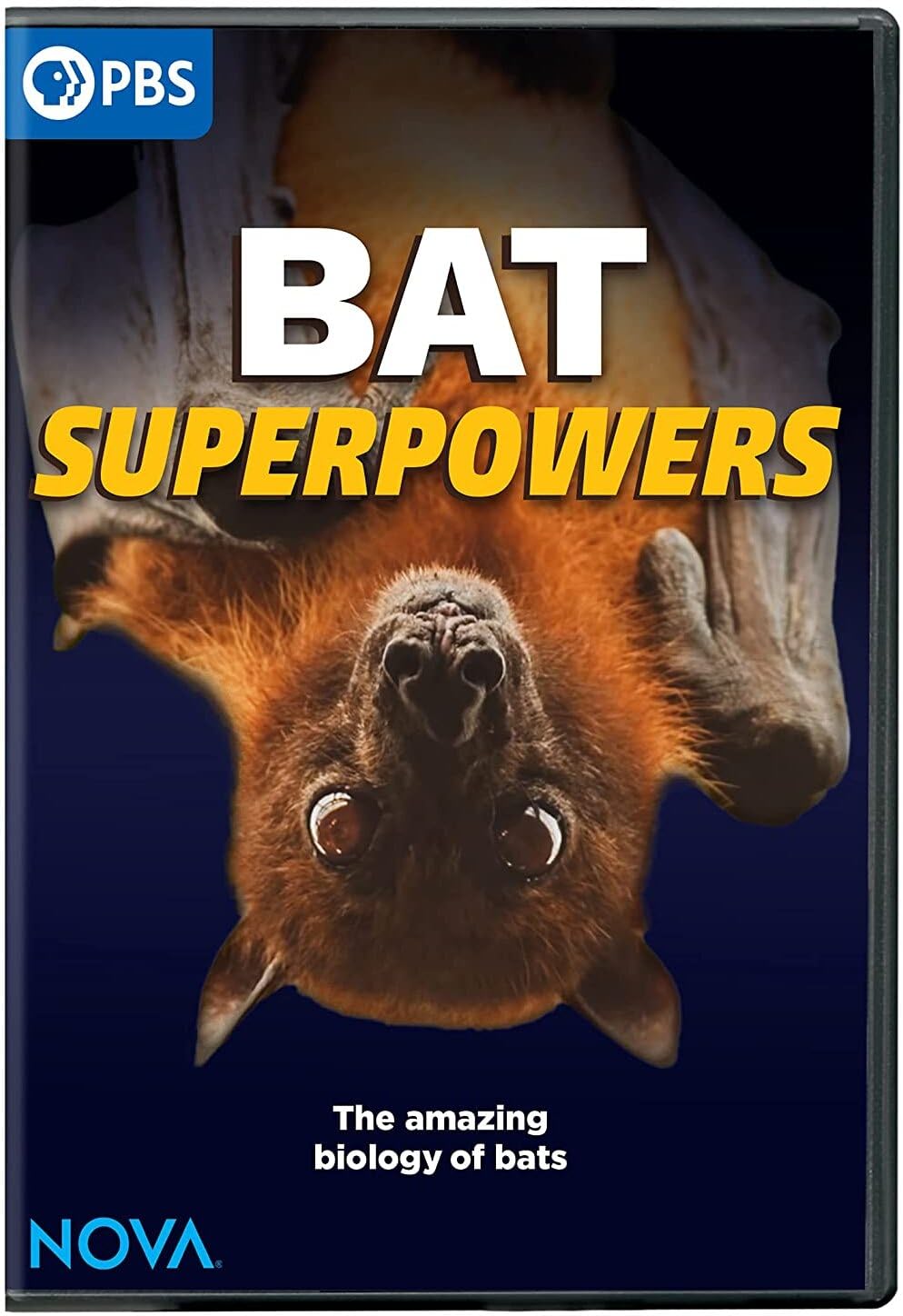 Nova: Bat Superpowers (DVD)