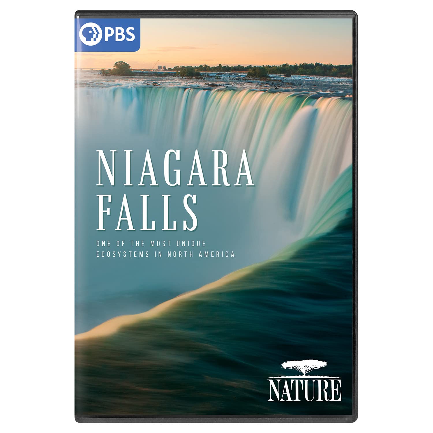 Nature: Niagara Falls (DVD)
