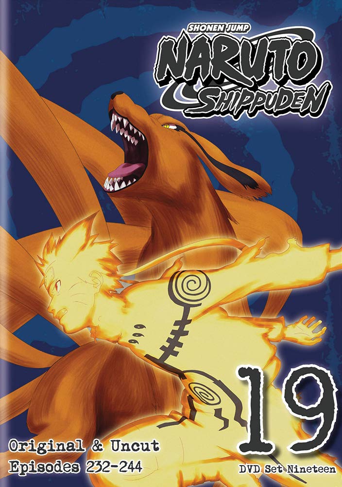 Naruto Shippuden Box Set 19 (DVD)