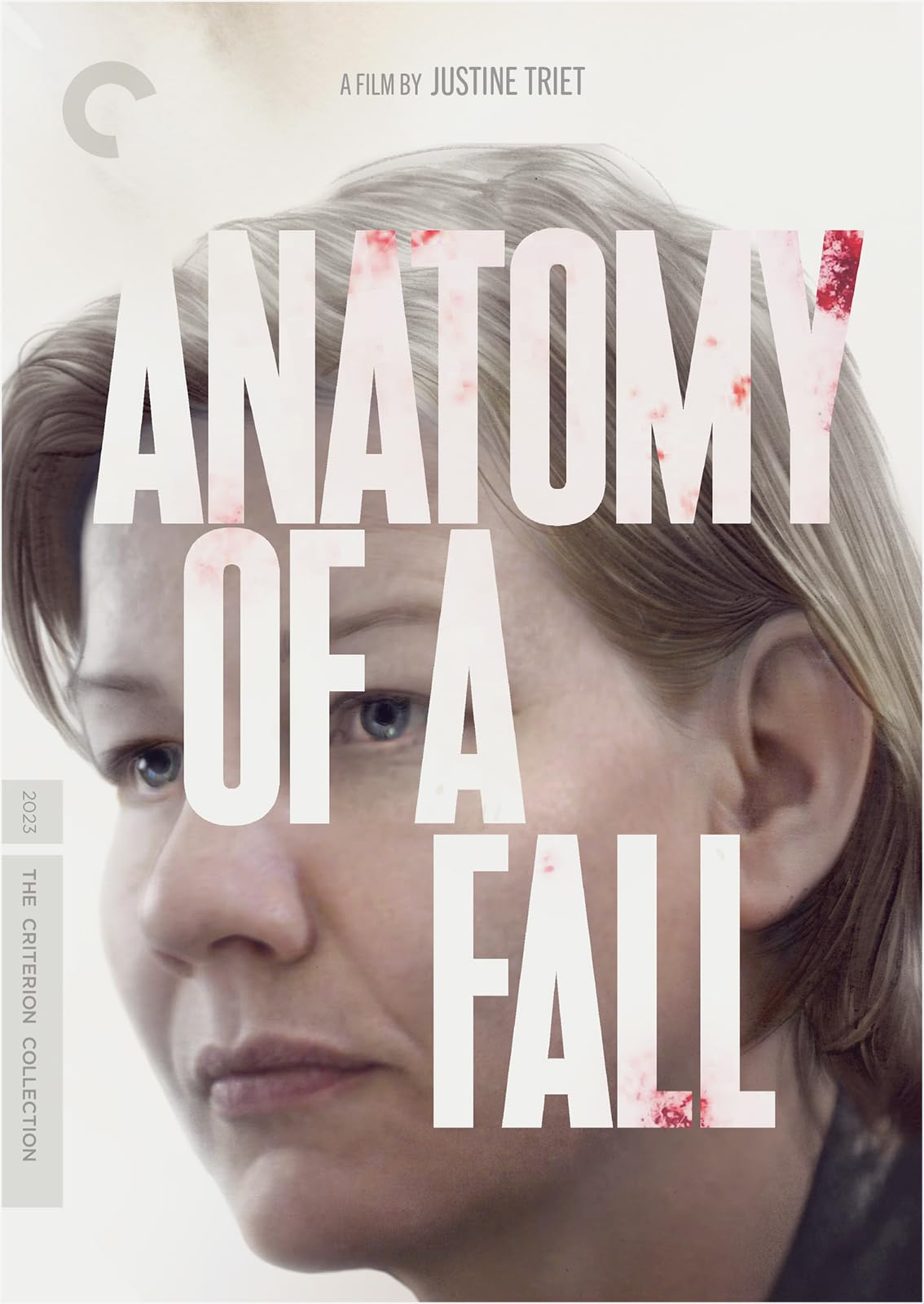 Anatomy of A Fall (DVD)