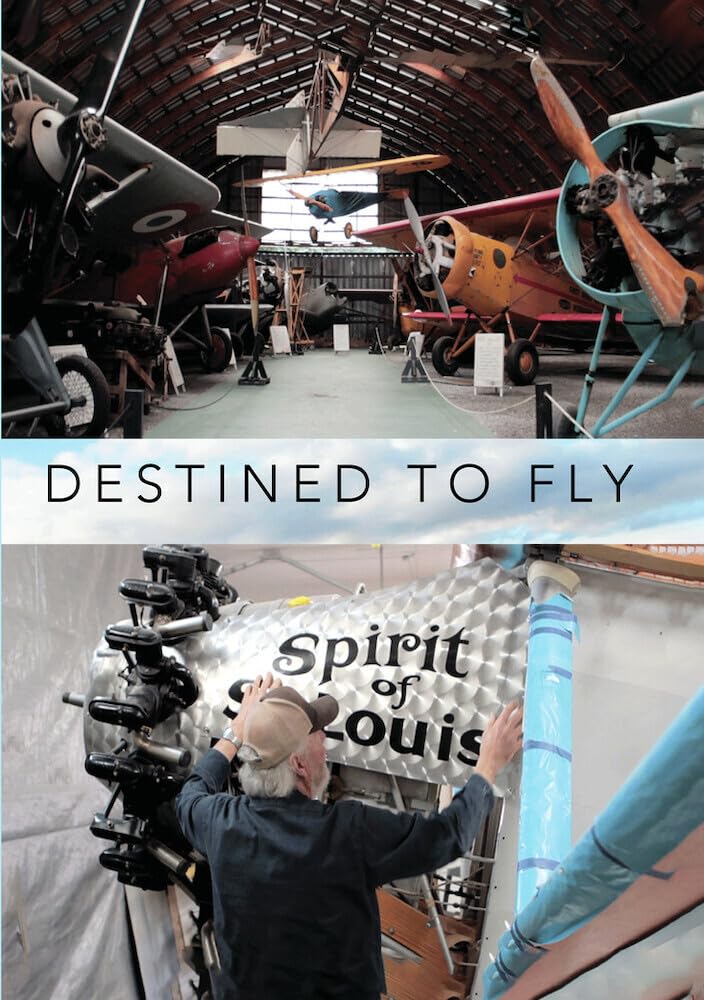 Destined to Fly (DVD)