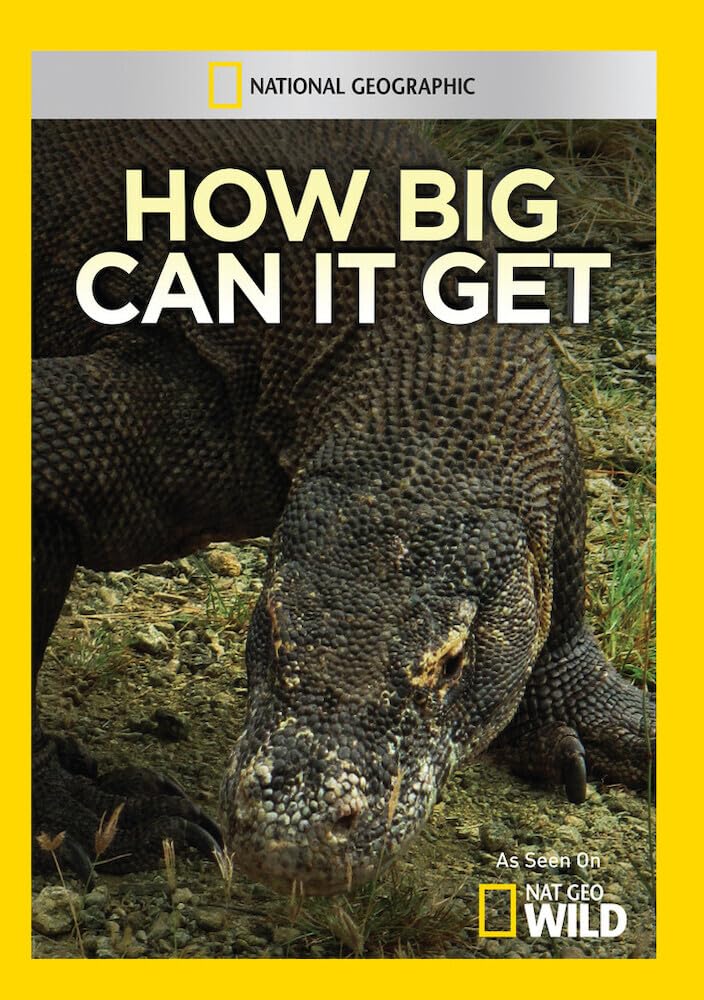 How Big Can It Get (DVD)