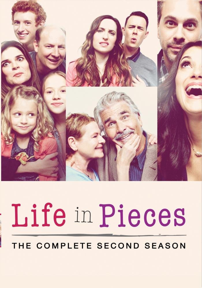 Life in Pieces: Season 2 (DVD)