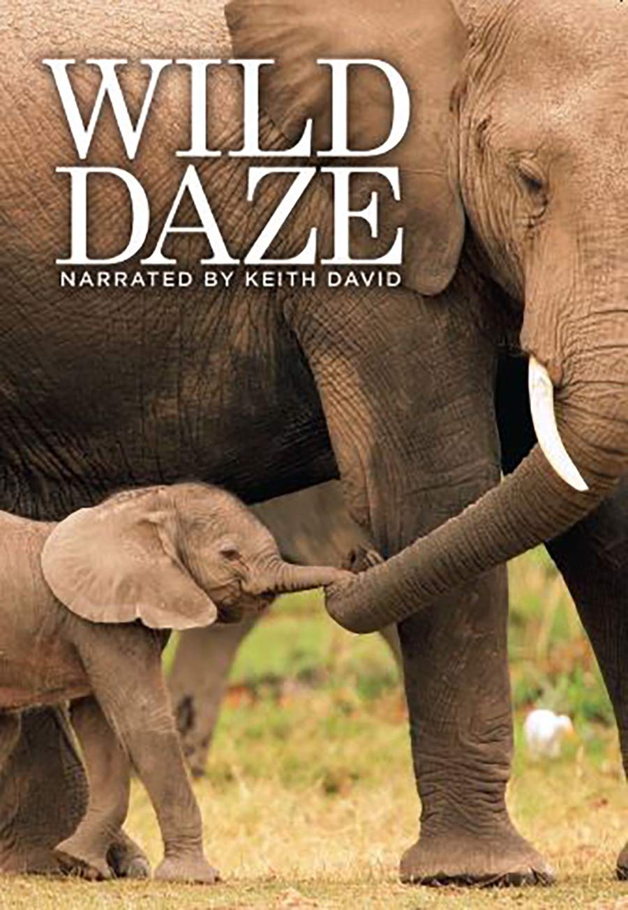 Wild Daze (DVD)