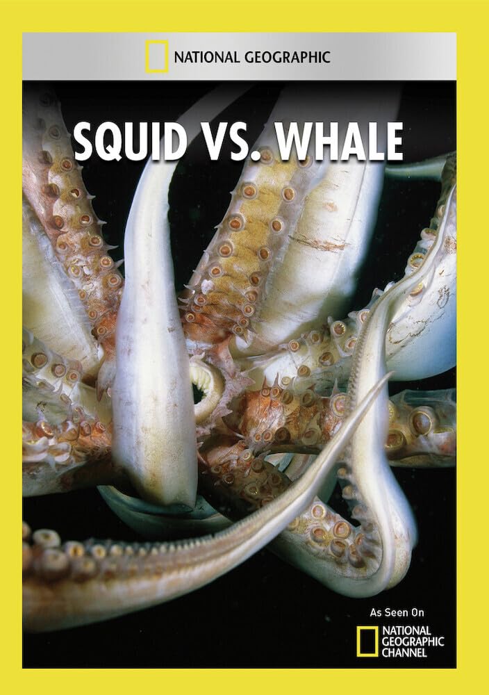 Squid vs. Whale (DVD)